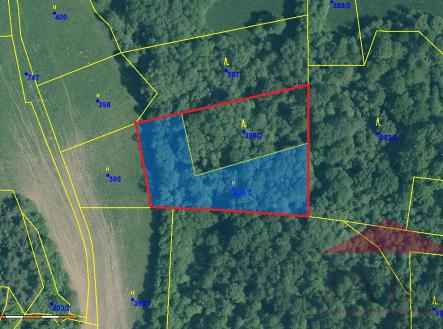 01-mapa-ortofoto.jpg | Prodej - pozemek, les, 5 431 m²