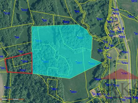 04-mapa-ortofoto-m.jpg | Prodej - pozemek, les, 5 431 m²