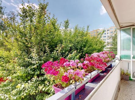 Prodej bytu, 3+1, 86 m² obrázek