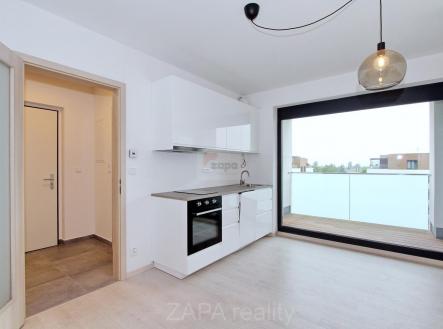 Pohled vstup + lodžie.JPG | Pronájem bytu, 2+kk, 43 m²