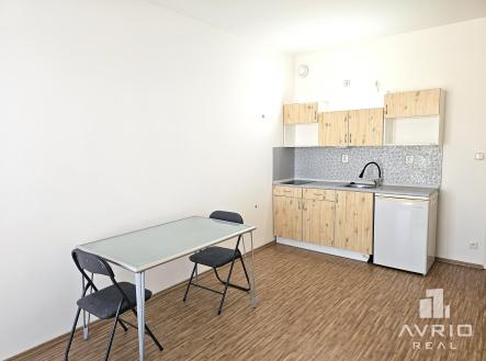 20250523_112507 | Pronájem bytu, 1+kk, 37 m²