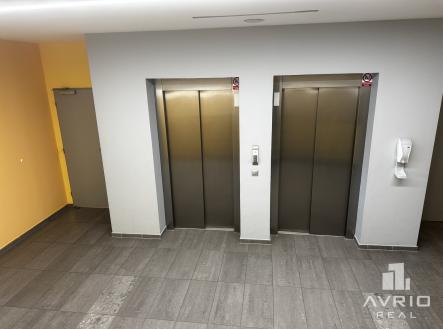 Dva výtahy | Pronájem - kanceláře, 532 m²