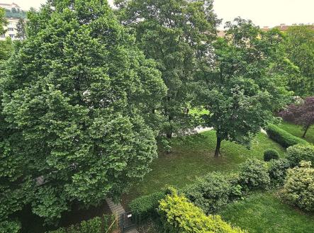 20260514_091458 | Pronájem bytu, 3+1, 80 m²