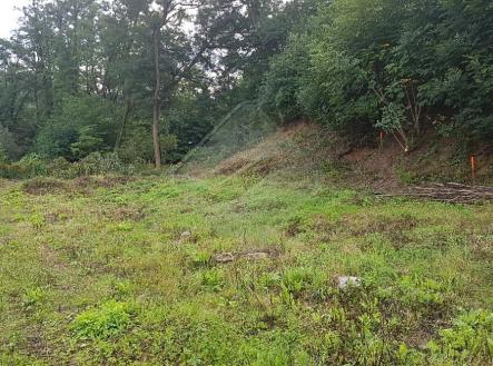 20250505-122115-526.jpeg | Prodej - pozemek pro bydlení, 2 290 m²
