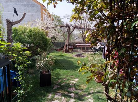 20250505-103258-971.jpeg | Pronájem - kanceláře, 105 m²