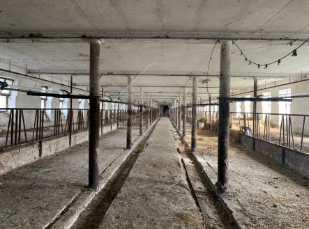 20250505-103539-660.jpeg | Prodej - pozemek pro bydlení, 1 691 m²
