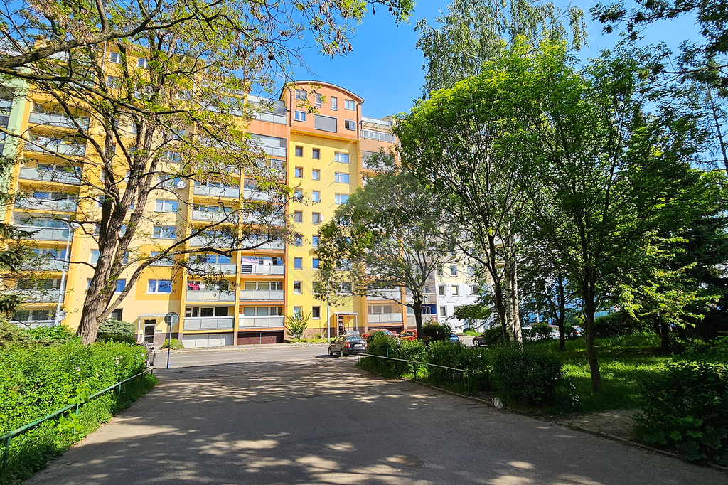20250502-094557.jpg