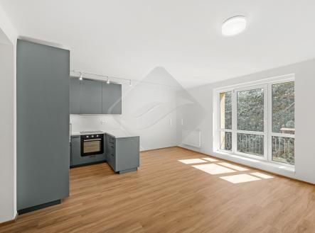 a.jpg | Prodej bytu, 3+kk, 66 m²
