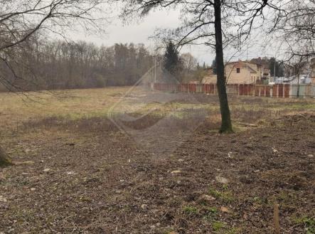 20250505-103542-774.jpeg | Prodej - pozemek pro bydlení, 3 071 m²