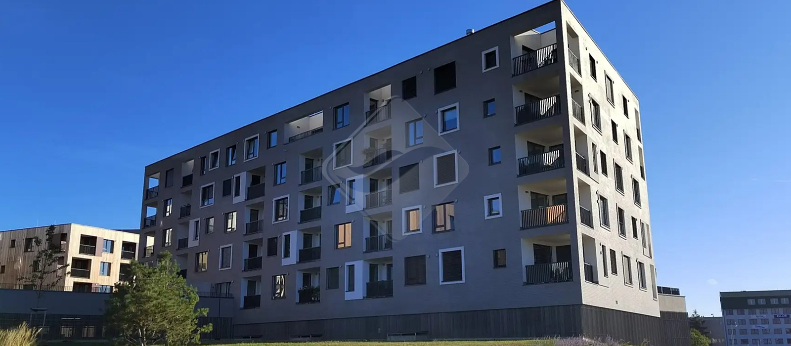 2025-06-03-112248.jpg