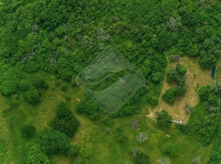 vysocany-image-10.11.2025-11-26-12.png | Prodej - pozemek, ostatní, 8 993 m²