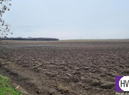 Prodej - pozemek, zemědělská půda, 3 000 m²