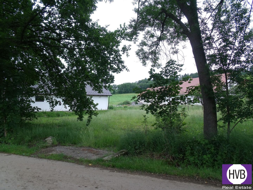 dscf0900.jpg