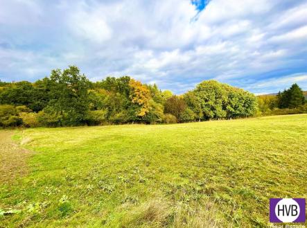 Prodej - pozemek pro bydlení, 2 777 m² obrázek