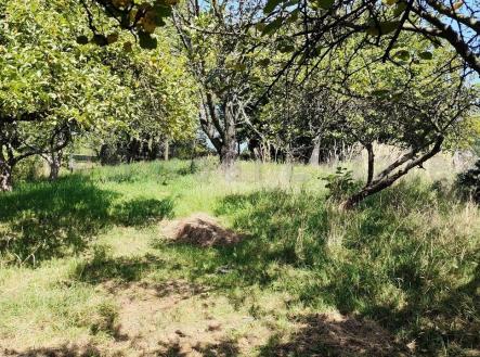 img-20240813-130914.jpg | Prodej - pozemek pro bydlení, 1 607 m²