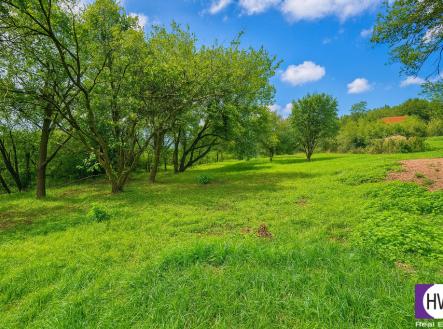 chatgpt-image-3.9.2025-16-57-49.png | Prodej - pozemek pro bydlení, 1 255 m²