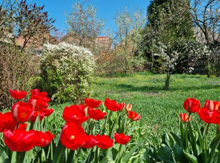 20250420-113736.jpg | Prodej - dům/vila, 187 m²