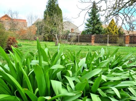 20250413-112901.jpg | Prodej - dům/vila, 187 m²