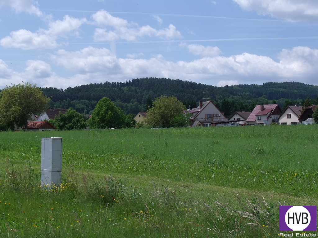 dscf1150.jpg