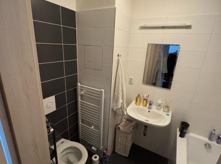img-20250417-wa0025.jpg | Pronájem bytu, 1+kk, 36 m²