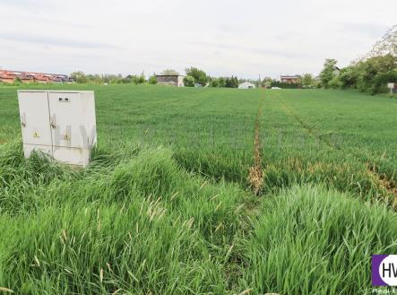 Prodej - pozemek pro bydlení, 1 247 m² obrázek