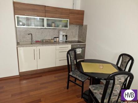 20240312-084934.jpg | Pronájem bytu, 1+kk, 41 m²