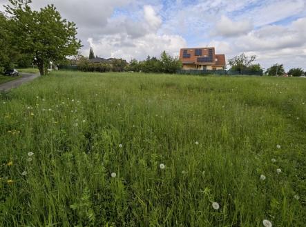 1746448109217.jpg | Prodej - pozemek pro bydlení, 799 m²