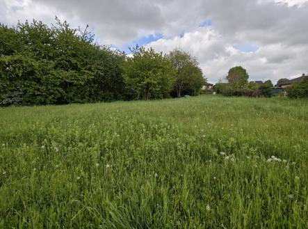 1746448109186.jpg | Prodej - pozemek pro bydlení, 799 m²