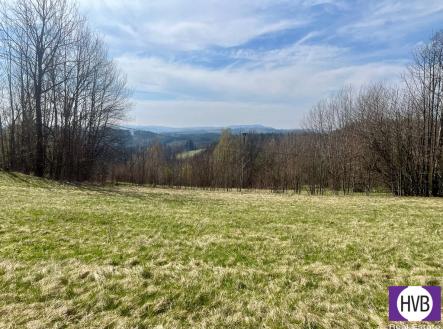 img-20250507-wa0008.jpg | Pronájem - pozemek pro bydlení, 4 241 m²