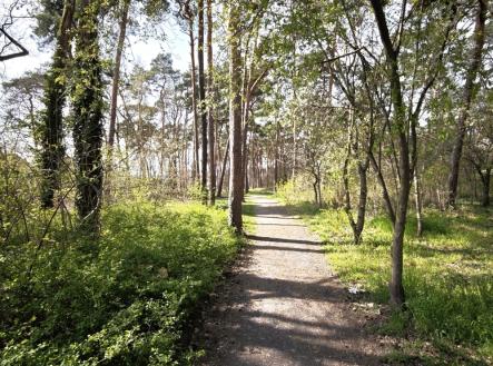 1747043149767.jpg | Prodej - dům/vila, 174 m²