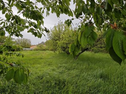 03.jpg | Prodej - pozemek pro komerční výstavbu, 2 398 m²