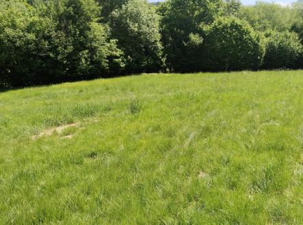 img-20250531-wa0018-2.jpg | Prodej - pozemek pro bydlení, 1 876 m²