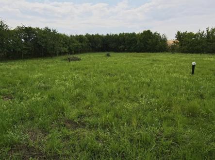 Prodej - pozemek pro bydlení, 1 000 m² obrázek