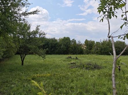 Prodej - pozemek pro bydlení, 1 000 m² obrázek