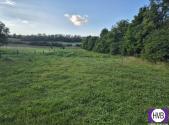 Prodej - pozemek pro bydlení, 1 000 m²