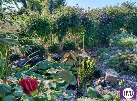 img-20250919-154516.jpg | Prodej - pozemek, zahrada, 544 m²