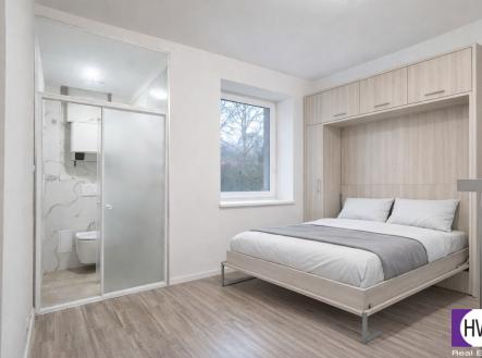 chatgpt-image-18.4.2026-23-46-54.png | Pronájem bytu, 1+kk, 16 m²