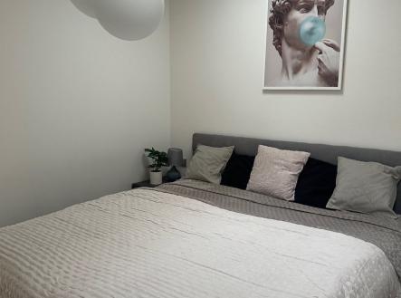 . | Pronájem bytu, 2+kk, 44 m²