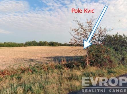 . | Prodej - pozemek, zemědělská půda, 17 665 m²