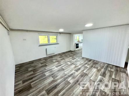 Světla místnost s vinylovou podlahou, moderní povrch, velká okna, připravená k nastěhování, ideální pro rekonstruovaný interiér. | Pronájem bytu, 1+kk, 54 m²