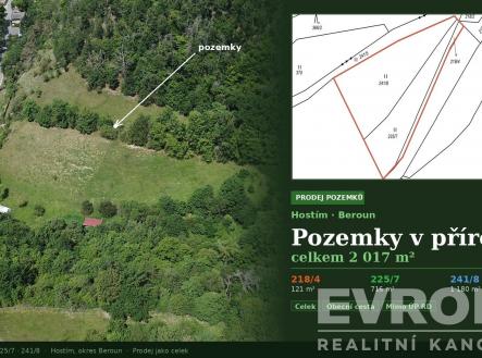 . | Prodej - pozemek, trvalý travní porost, 2 017 m²