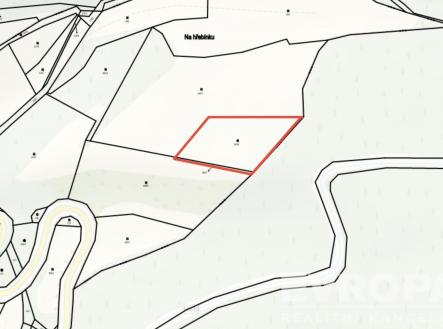 . | Prodej - pozemek, trvalý travní porost, 3 521 m²