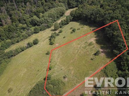 Prodej - pozemek, trvalý travní porost, 3 521 m² obrázek