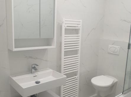 . | Pronájem bytu, 3+kk, 53 m²