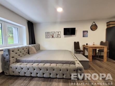 . | Pronájem bytu, 1+kk, 22 m²