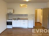 Pronájem bytu, 1+kk, 32 m²