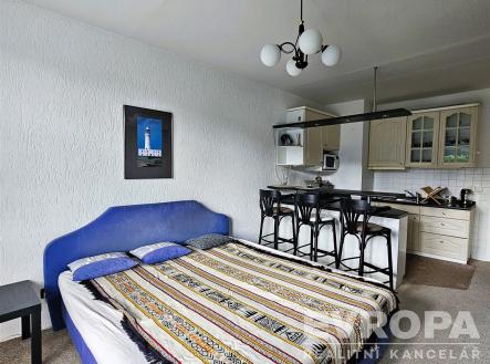 Spaní | Pronájem bytu, 1+kk, 28 m²