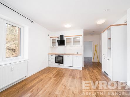 pokoj s kuchyňským koutem | Prodej bytu, 2+kk, 44 m²