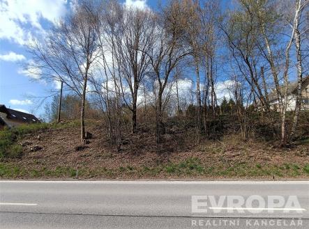 spodní část pozemku - od pozemní komunikace | Prodej - pozemek pro bydlení, 1 575 m²