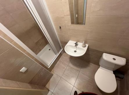 Pronájem bytu, 1+1, 28 m² obrázek